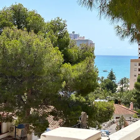 Beauty Garden Cullera