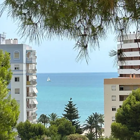 Beauty Garden * Cullera